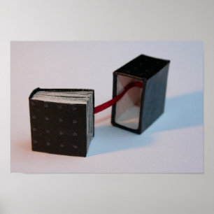 Miniature Artis't Book with its box open Poster