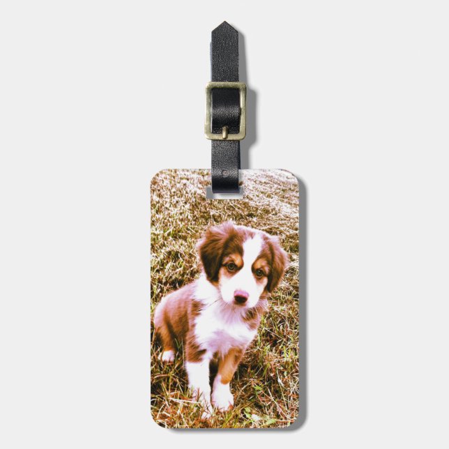 Miniature Australian Shepherd! Mini Aussie Puppy! Luggage Tag (Front Vertical)