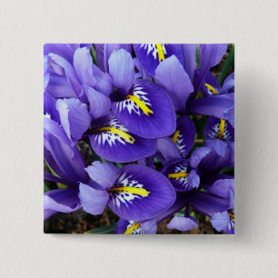 Miniature Blue Irises Spring Floral 2 Inch Square Button
