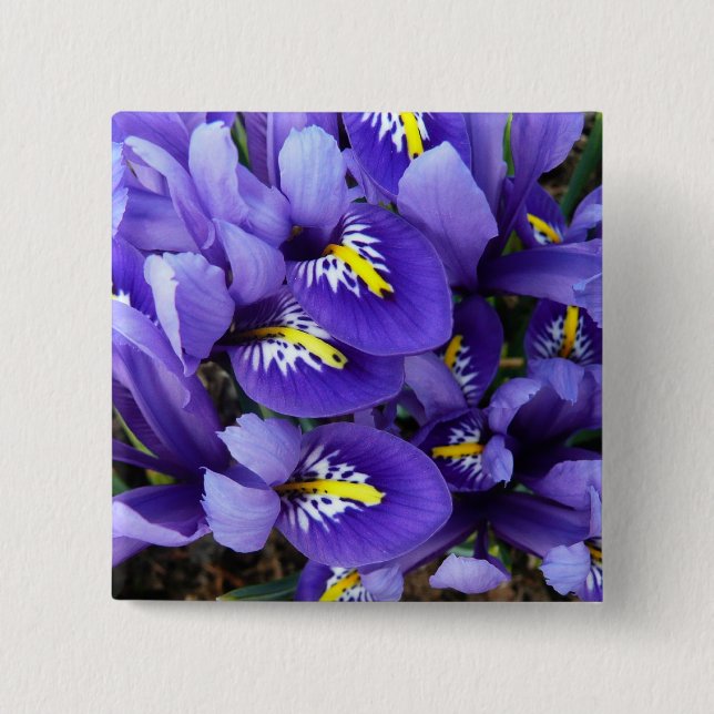 Miniature Blue Irises Spring Floral 2 Inch Square Button (Front)