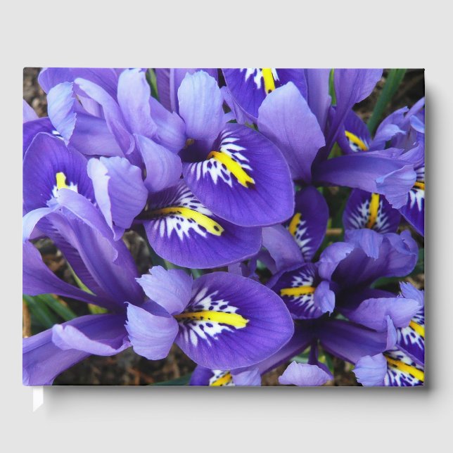 Miniature Blue Irises Spring Floral Guest Book (Front)