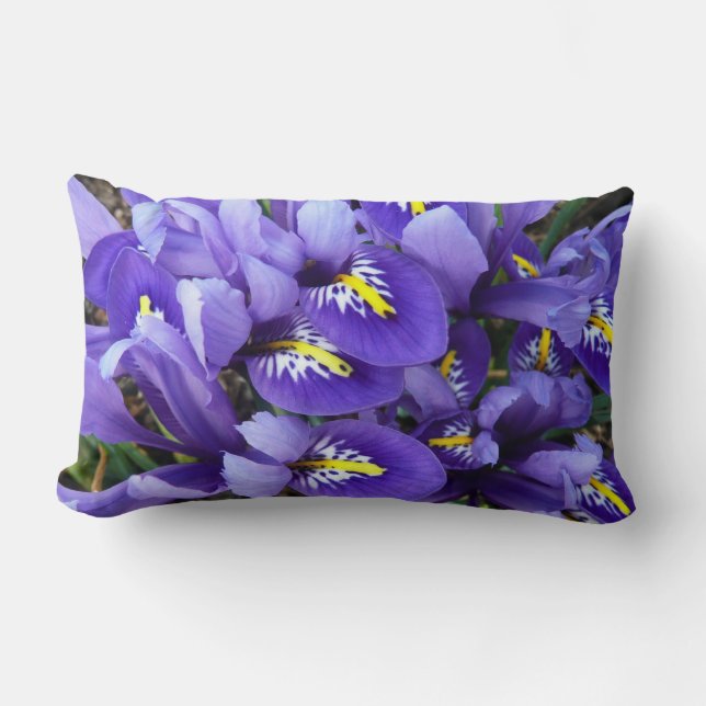 Miniature Blue Irises Spring Floral Lumbar Pillow (Front)