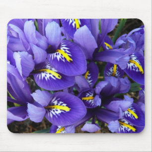 Miniature Blue Irises Spring Floral Mouse Pad