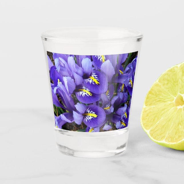 Miniature Blue Irises Spring Floral Shot Glass (Front)