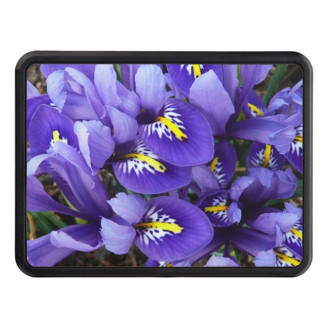 Miniature Blue Irises Spring Floral Trailer Hitch Cover (Front)