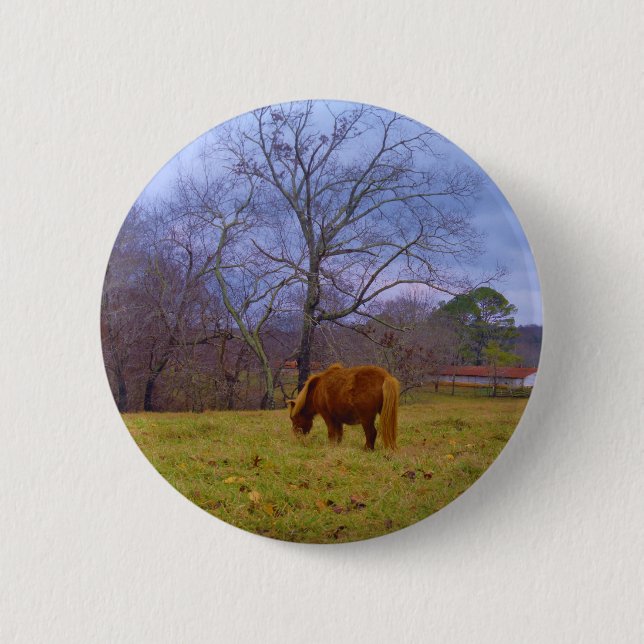 Miniature brown horse blustery sky 2 inch round button (Front)
