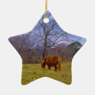 Miniature brown horse blustery sky ceramic ornament