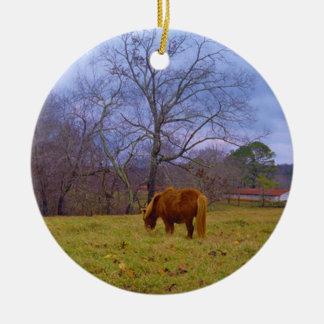 Miniature brown horse blustery sky ceramic ornament (Front)