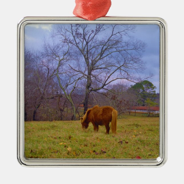Miniature brown horse blustery sky metal ornament (Front)