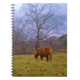 Miniature brown horse blustery sky notebook