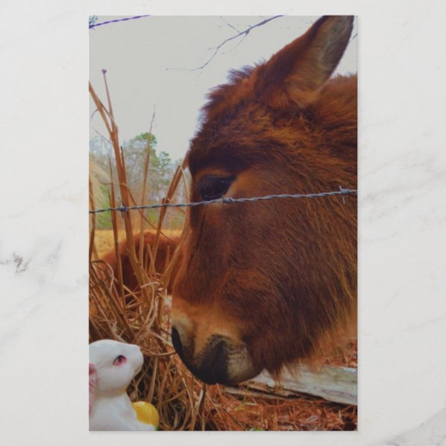 Miniature Brown horse & Easter Bunny Stationery (Front)