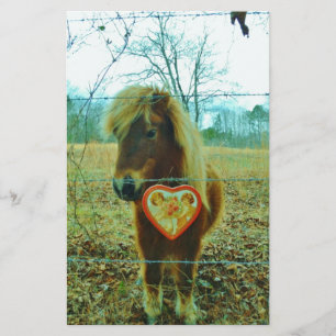 Miniature Brown horse Valentine Heart