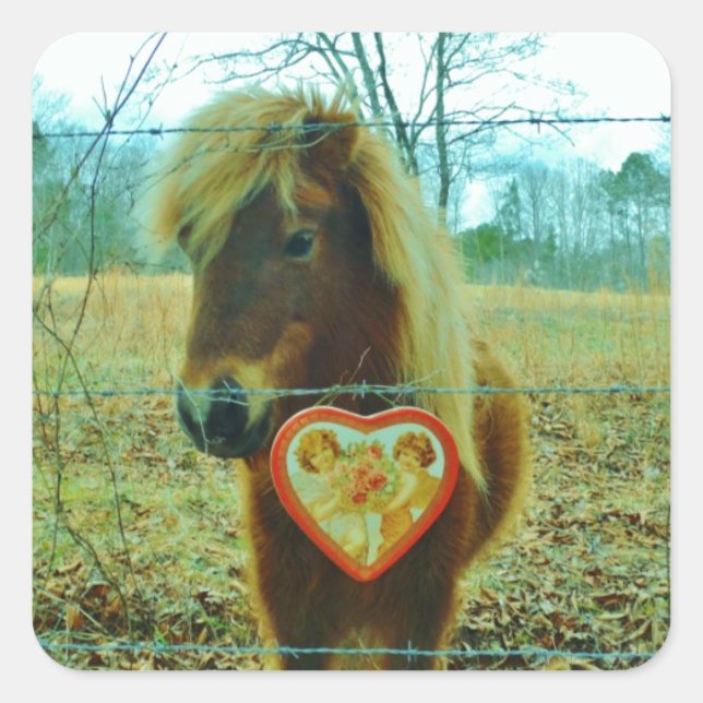 Miniature Brown horse Valentine Heart Square Sticker (Front)