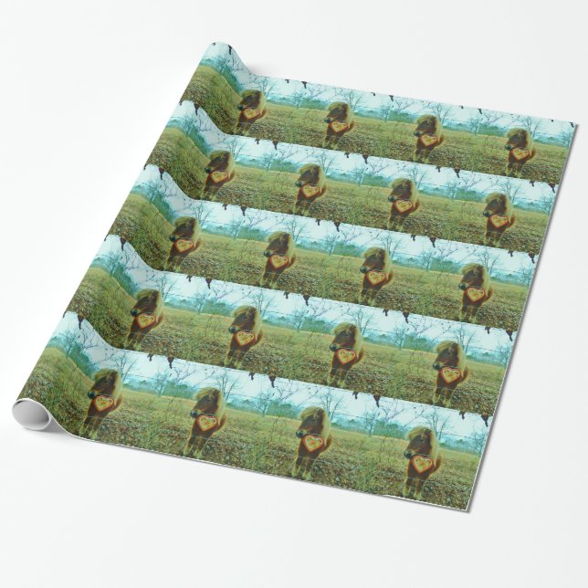 Miniature Brown horse Valentine Heart Wrapping Paper (Unrolled)