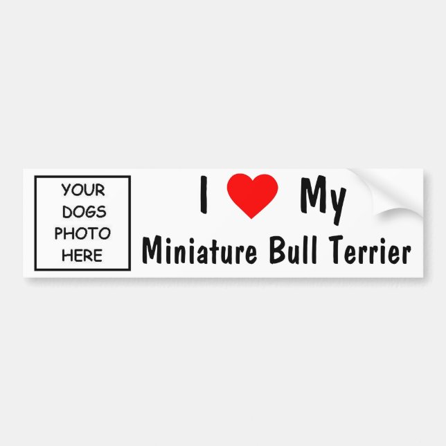 Miniature Bull Terrier Bumper Sticker (Front)