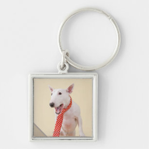 Miniature Bull Terrier looking at laptop, Keychain