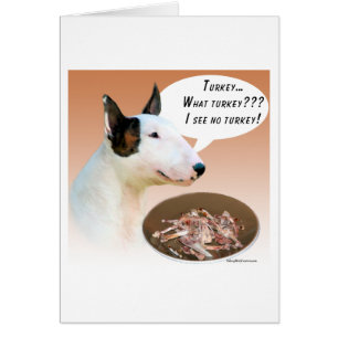 Miniature Bull Terrier Turkey