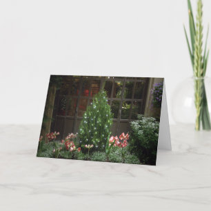 Miniature Christmas Tree Holiday Card