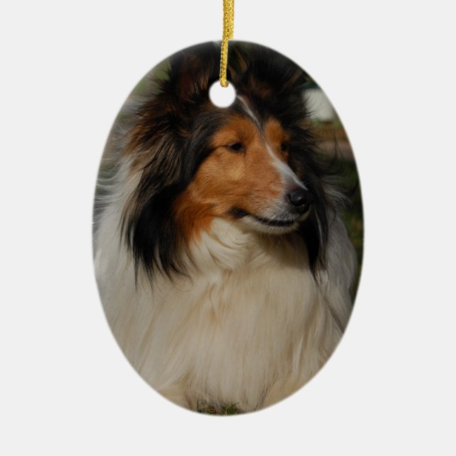 Miniature Collie Ornaemnt Ceramic Ornament (Front)