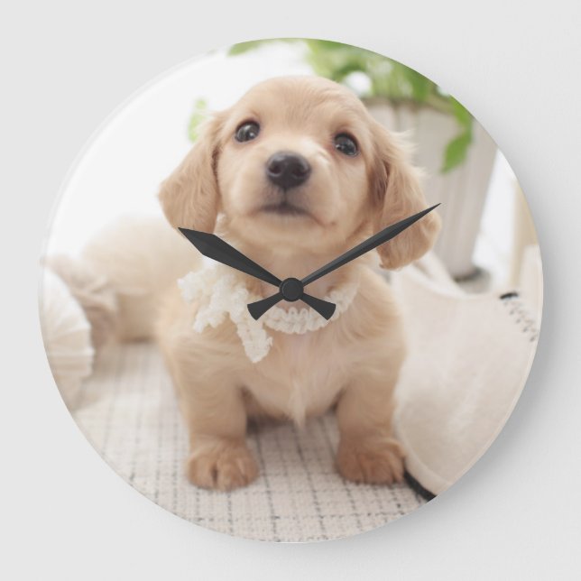 Miniature Dachshund Large Clock (Front)