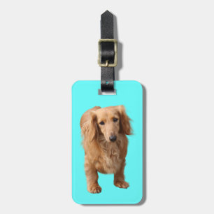 Miniature Dachshund Luggage Tag