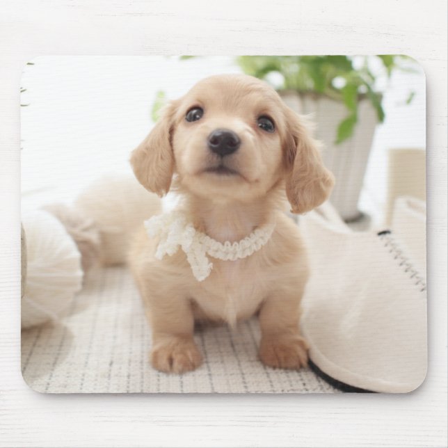 Miniature Dachshund Mouse Pad (Front)