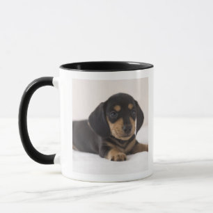 Miniature Dachshund Mug