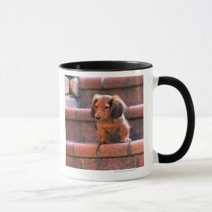 Miniature Dachshund Mug