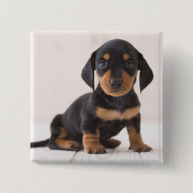 Miniature Dachshund Sitting 2 Inch Square Button (Front)