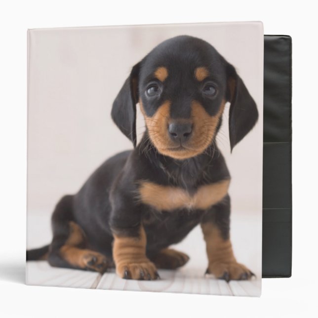 Miniature Dachshund Sitting Binder (Front/Inside)