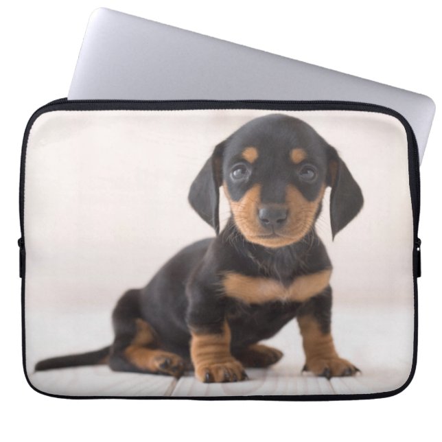 Miniature Dachshund Sitting Laptop Sleeve (Front)