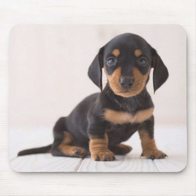 Miniature Dachshund Sitting Mouse Pad (Front)