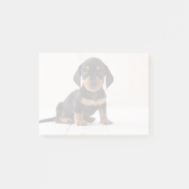 Miniature Dachshund Sitting Post-it Notes (Front)