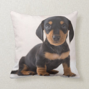 Miniature Dachshund Sitting Throw Pillow