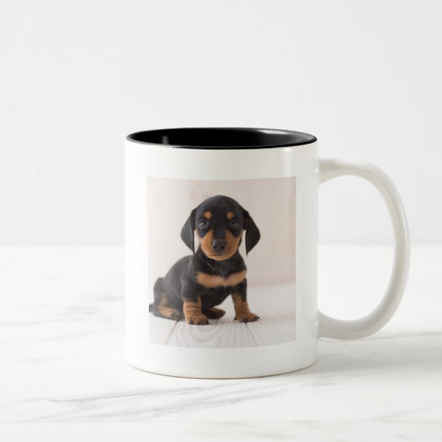 Miniature Dachshund Sitting Two-Tone Coffee Mug (Right)