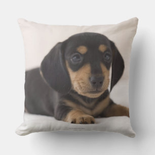 Miniature Dachshund Throw Pillow