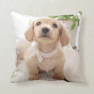 Miniature Dachshund Throw Pillow