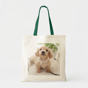 Miniature Dachshund Tote Bag