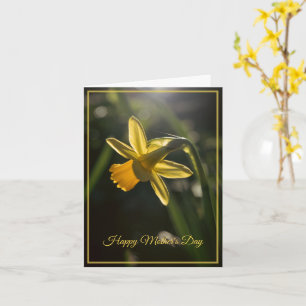 Miniature Daffodil Mother's Day Card