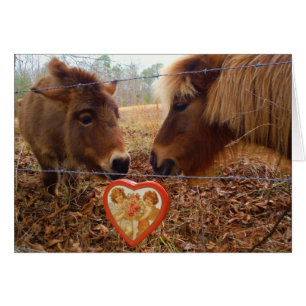 Miniature Donkey & Horse Valentine Heart