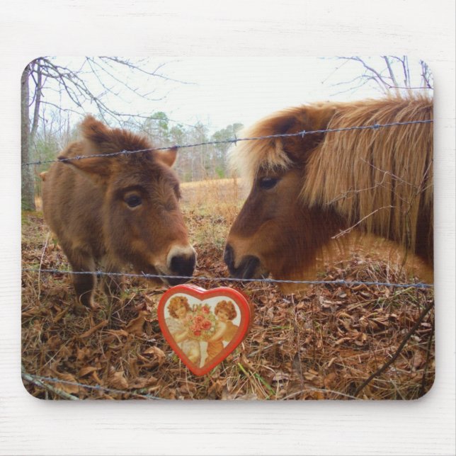 Miniature Donkey & Horse Valentine Heart Mouse Pad (Front)
