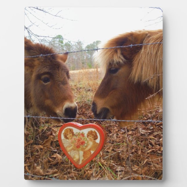 Miniature Donkey & Horse Valentine Heart Plaque (Front)