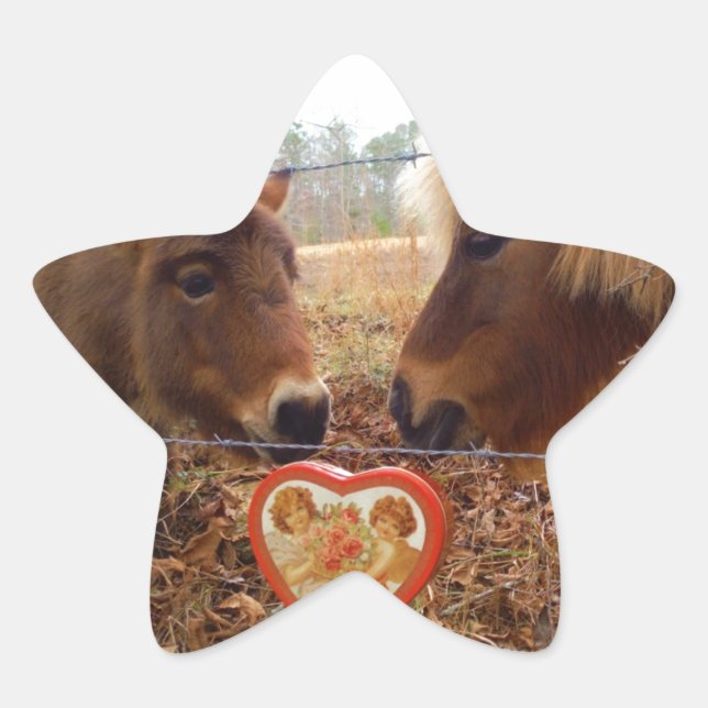 Miniature Donkey & Horse Valentine Heart Star Sticker (Front)