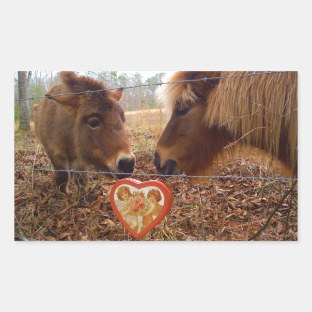 Miniature Donkey & Horse Valentine Heart Sticker (Front)
