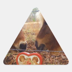 Miniature Donkey & Horse Valentine Heart Triangle Sticker