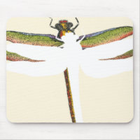 Miniature Dragonfly on White Background