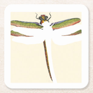 Miniature Dragonfly on White Background Square Paper Coaster