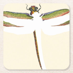 Miniature Dragonfly on White Background Square Paper Coaster