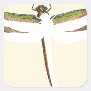 Miniature Dragonfly on White Background Square Sticker