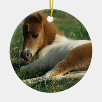 Miniature Foal Laying Down Ceramic Ornament